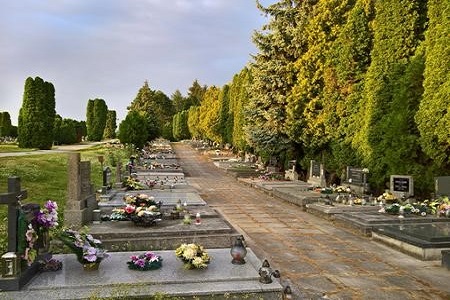 fleurs dans un cimetiere